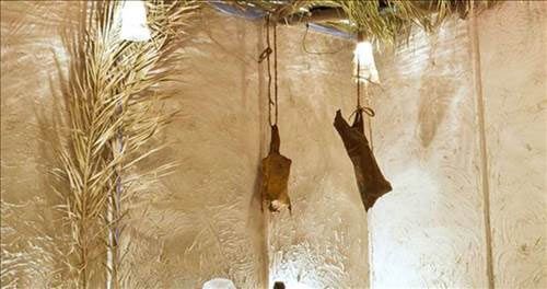 hz-muhammed-sav-evi-boyleymis-26-subat-2014-11